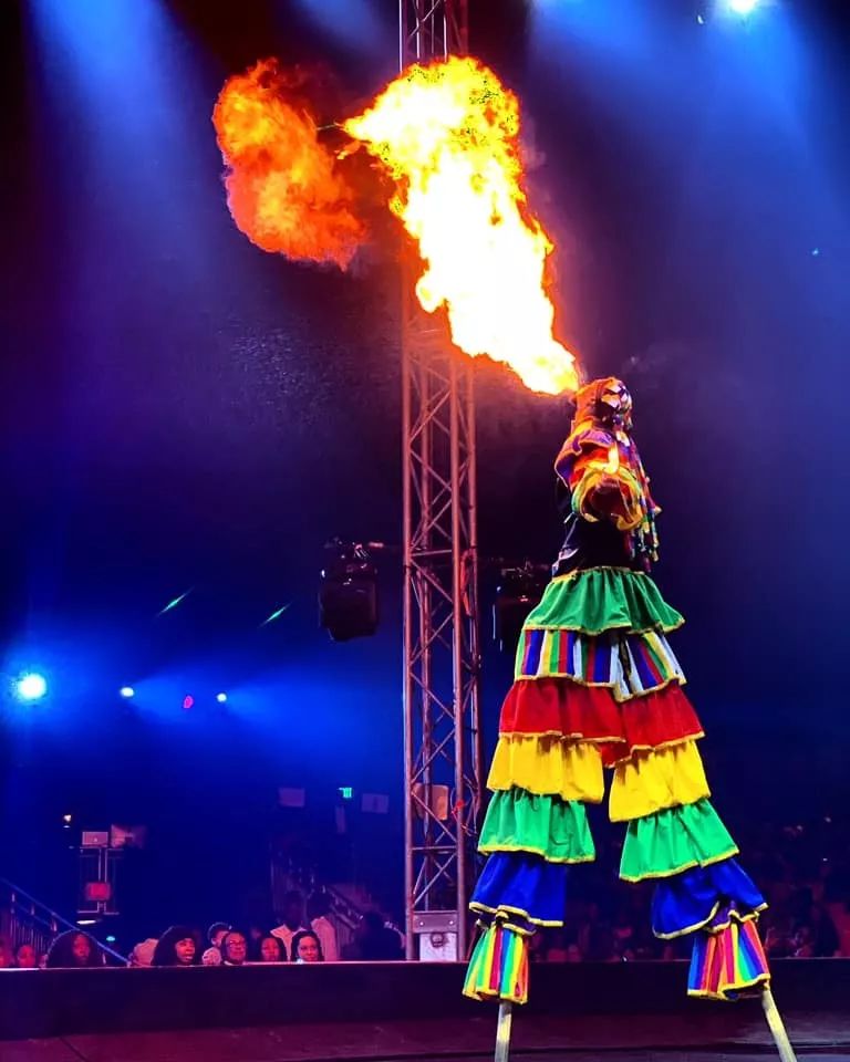 余票不足低至半价看全美第一马戏团演出仅剩三天抢票