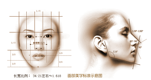 【小南话科普】面部美学标准是什么?快来看看你符不符合!