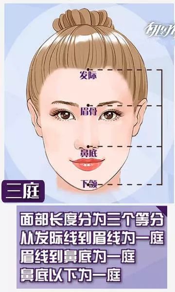 【小南话科普】面部美学标准是什么?快来看看你符不符合!