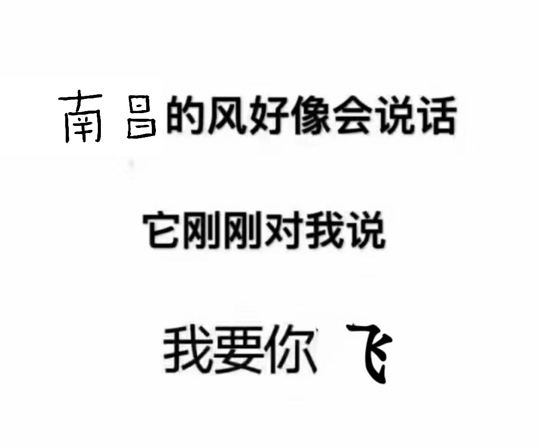 "南工的风好像会说话,她刚刚对我说……"