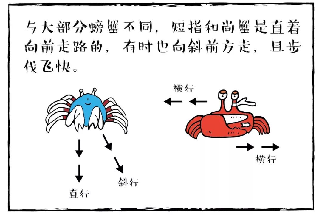转载不会念经的和尚蟹红树慢漫画