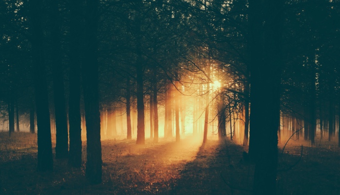 空调企业最难的不在双十一，苦日子还在未来3个月渠道出货！-家电圈官网