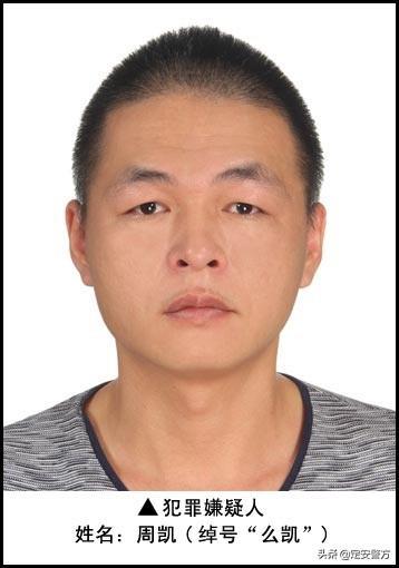 据了解,定安县公安局经过长期缜密侦查,一举抓获该县岭口镇岭口村委会