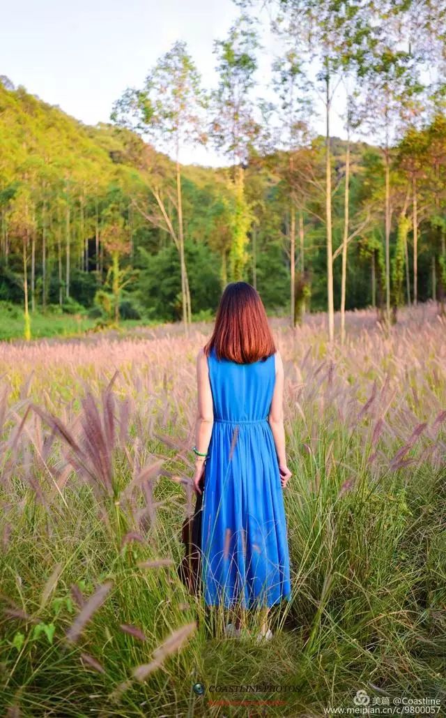 人像摄影情系狗尾草