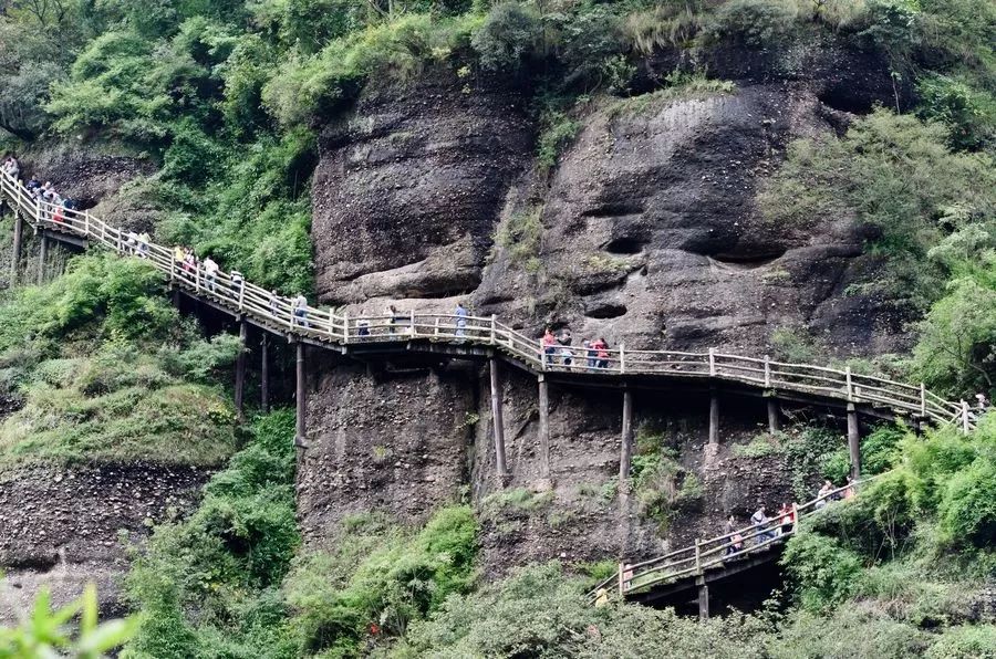 长风万里蜀道行万木学堂精品研学第三站四川