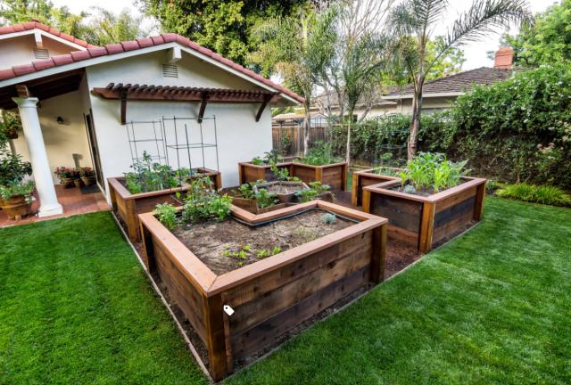 在大庭院里设计一处菜园是非常好看的,风格与建筑要统一,可以采用篱笆
