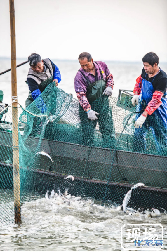 常州真人版末代渔民上线月入过万却无人继承