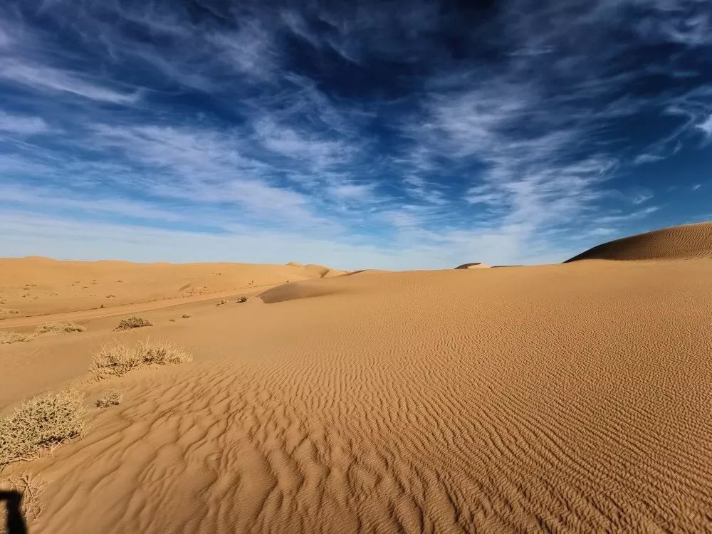 撒哈拉大沙漠生存挑战,看找油人建温馨家园!