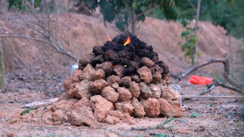 化州人,快来"煨"番薯窑鸡嗲!系你记忆中的味道吗?