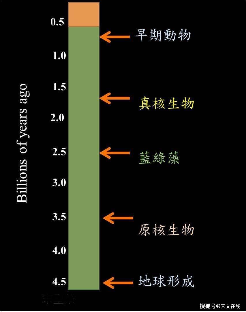 三十五亿年的故事,生命进化的历程