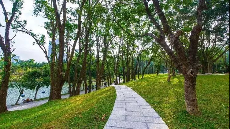 中深裝集團丨蓮花山公園春天之路入選中國風景園林學會精品工程成果展