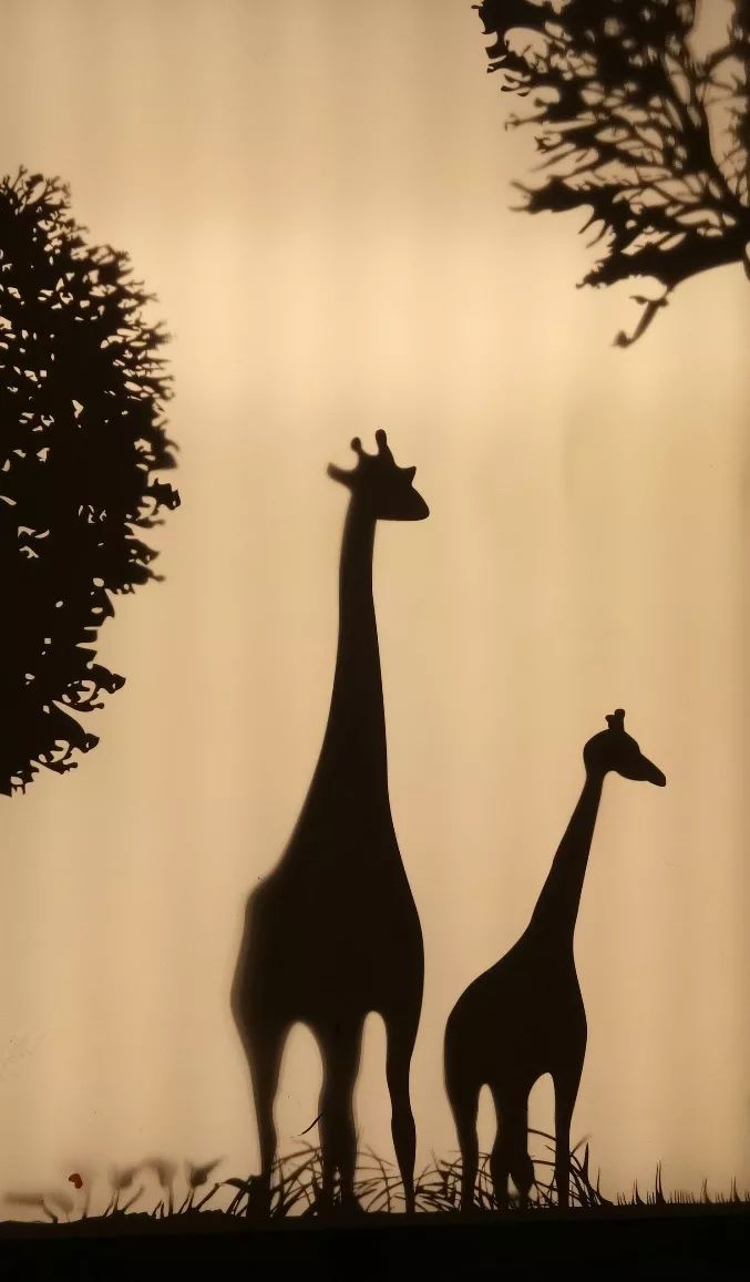 【亿中eos俱乐部】技巧丨有故事的剪影