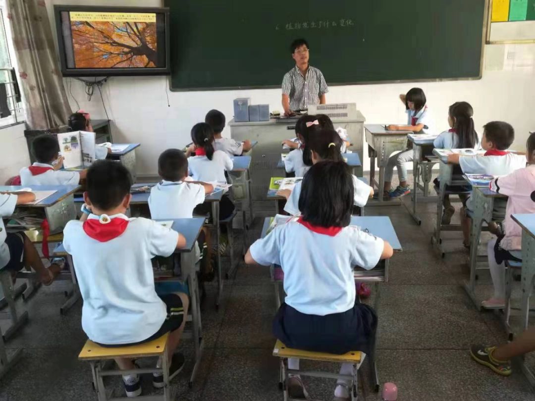 高中畢業後在建德市東南最偏遠的麻車鄉向陽村馬嶺山小學當代課老師