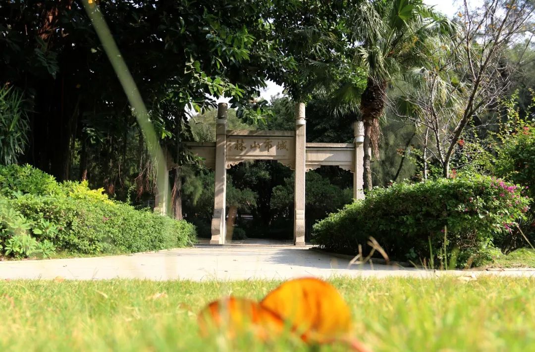 呼吸着深秋的气息,我们来到了位于泉州鲤城区——芳草园漫步芳草园内