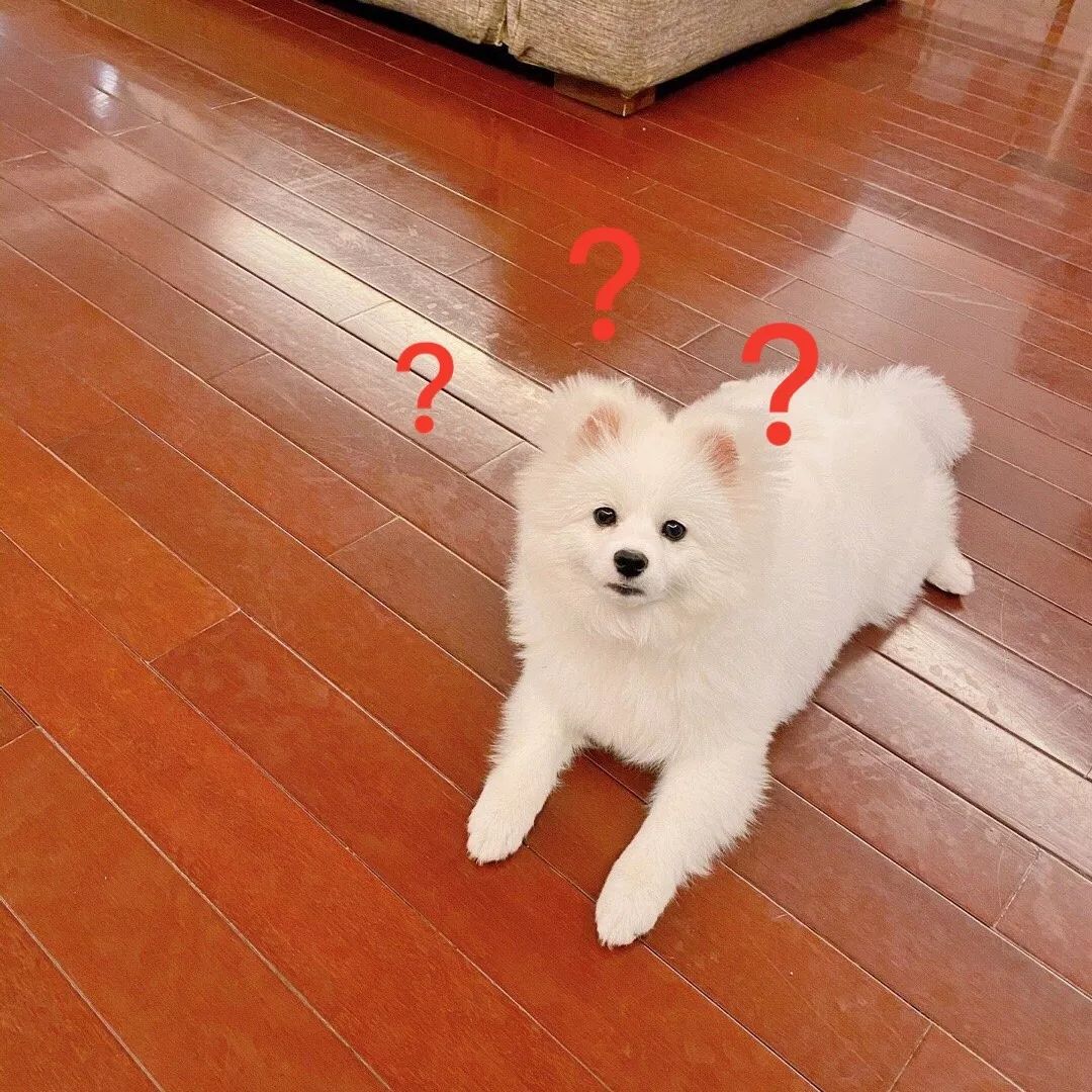 kid与jackeylove双排被喷蹭热度怒刚ig领队上热搜