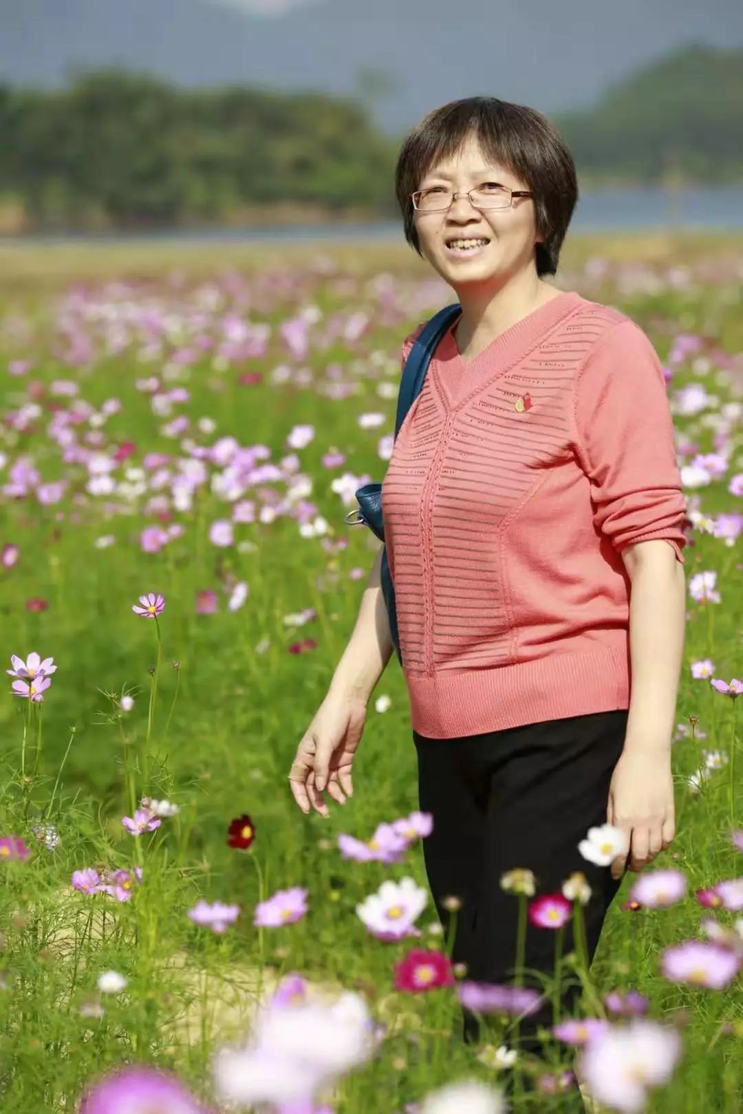 初心引航 张贵芬:在机要战线上默默奉献的"普通人"