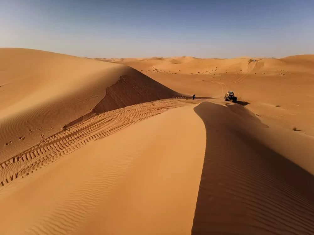 撒哈拉大沙漠生存挑战,看找油人建温馨家园!