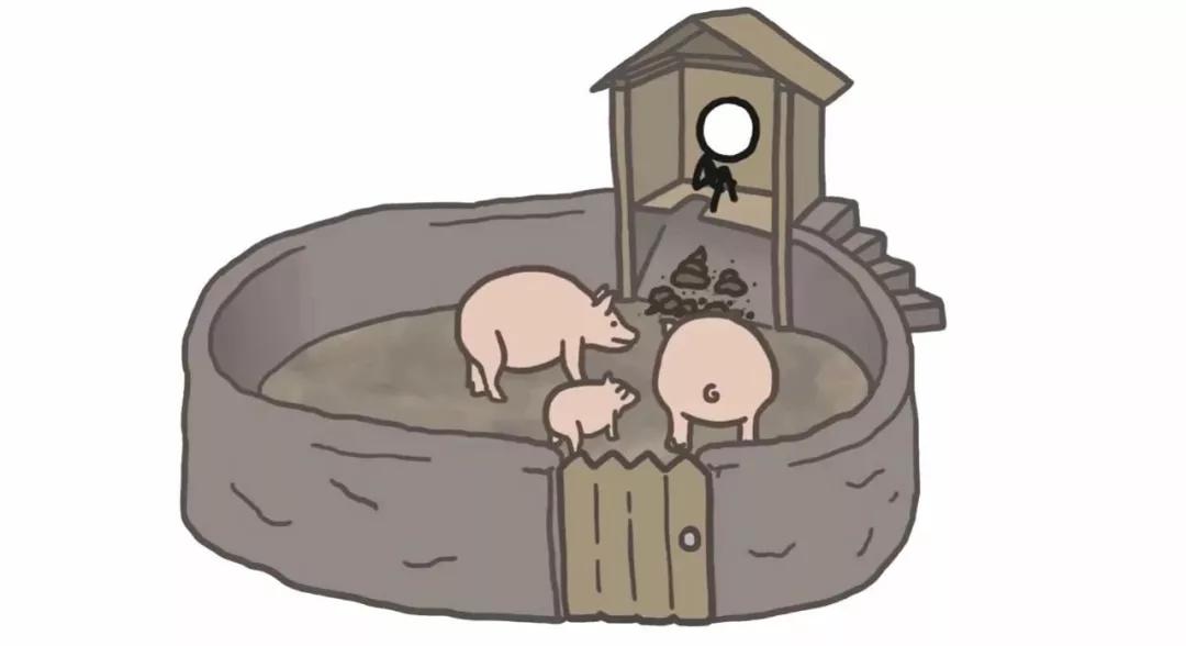 这种习惯的动物还不少,在以前人们养猪时,都会把厕所修在猪圈的上方