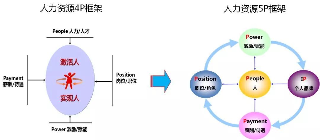 人才ip养成薪酬赋能时代的正向激励法则首席人才官