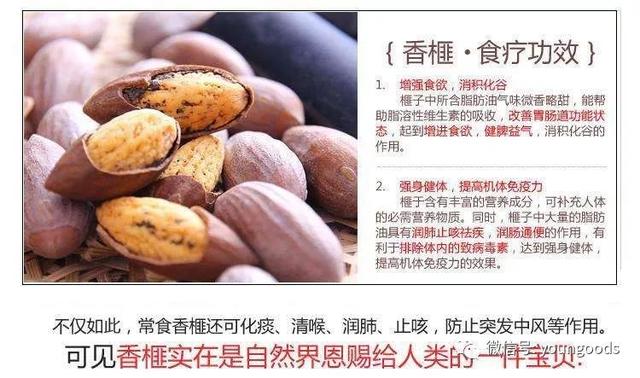 就哄她说要给她剥个"榧子"吃,这个榧子说的就是香榧了