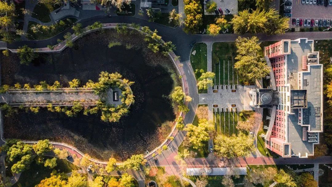 马蹄湖上八里台有秋天东门从这里走进南开无数人从这里认识南开低头