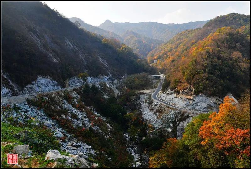 行走金寨中國紅嶺公路賞最美秋色