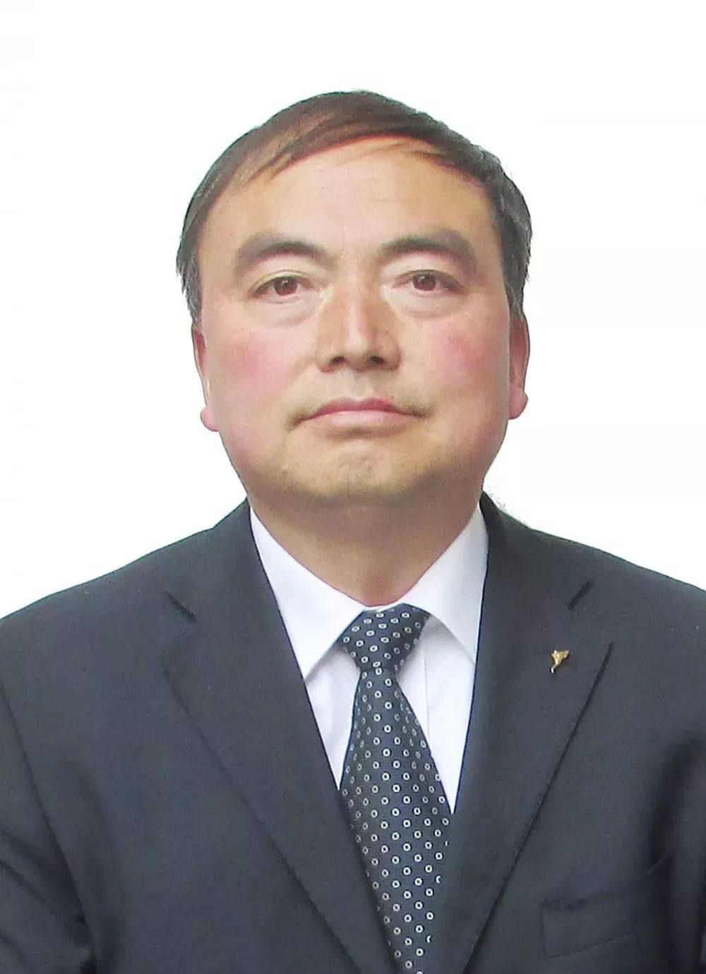 文县中庙小学辅导员 郭生清南金成,男,汉族,1985年7月出生,入党积极