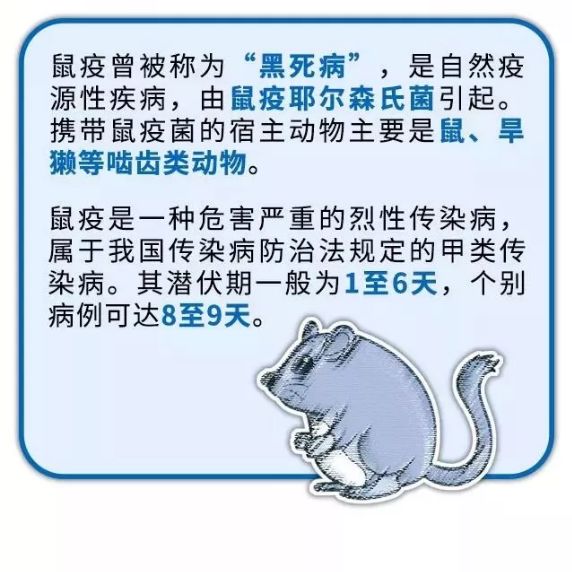 谈"鼠"色变大可不必,防控重点全在这里!