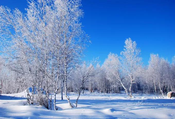 分分钟pk雪乡去呼伦贝尔看雪啦