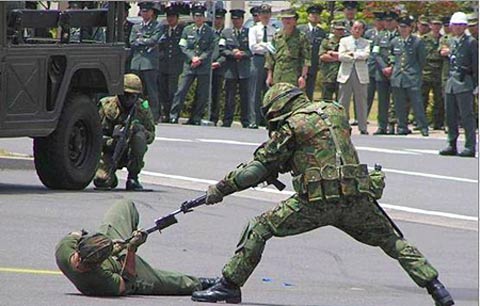 解放军vs日本自卫队图片