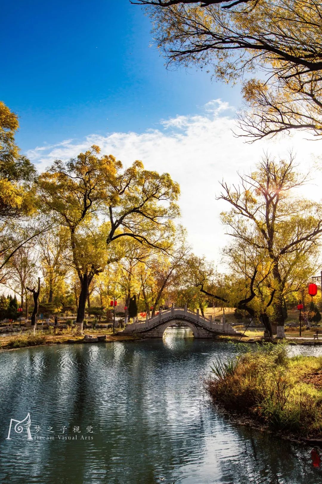 古城青州晚秋美景错过再等一年