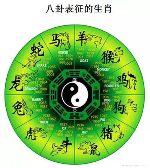 十二生肖数字八卦图图片