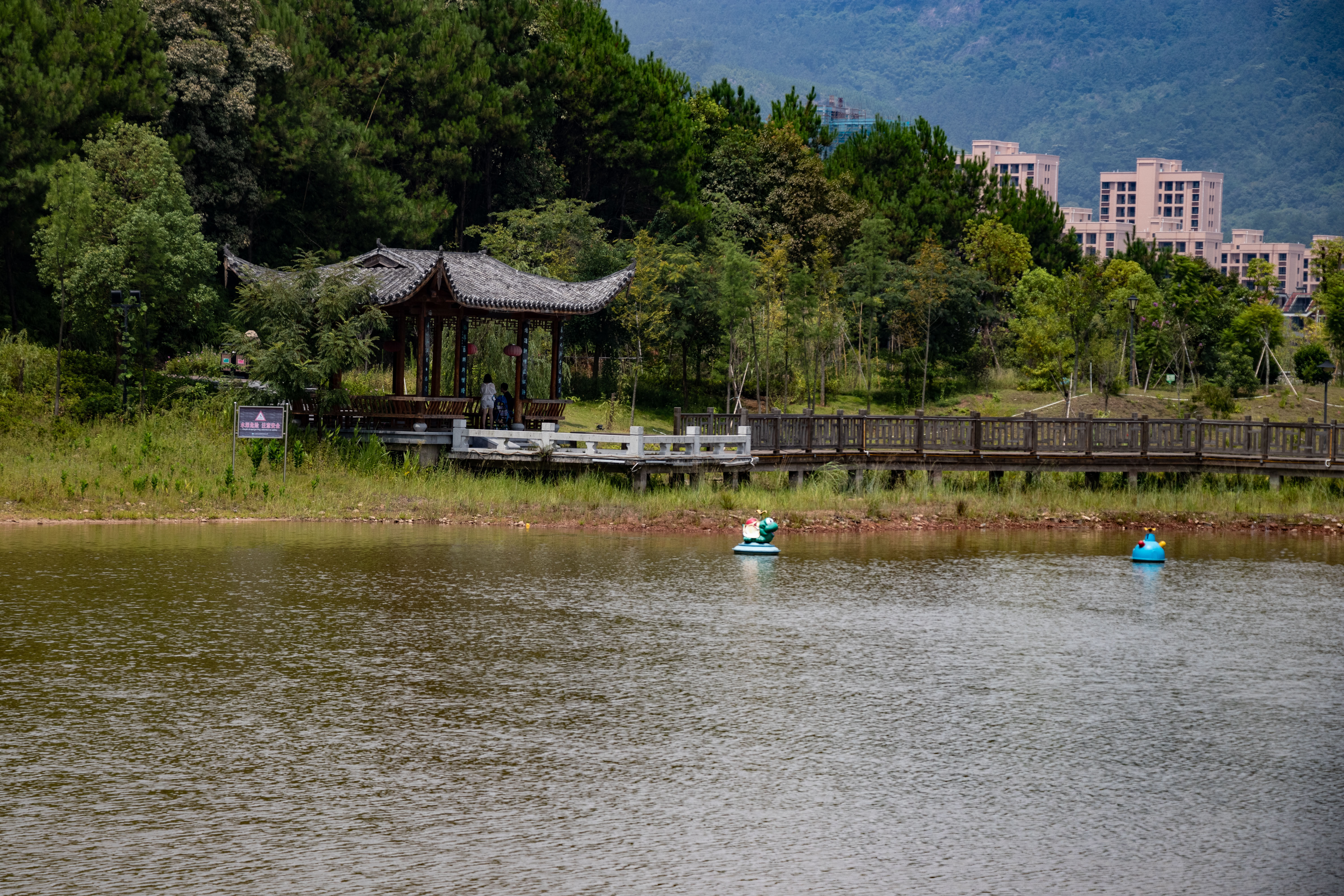 沙县如意湖湿地公园图片