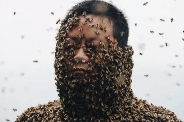 蜂衣人佘平据他介绍,他第一次穿蜂衣是想满足自己的好奇心,后来穿蜂衣