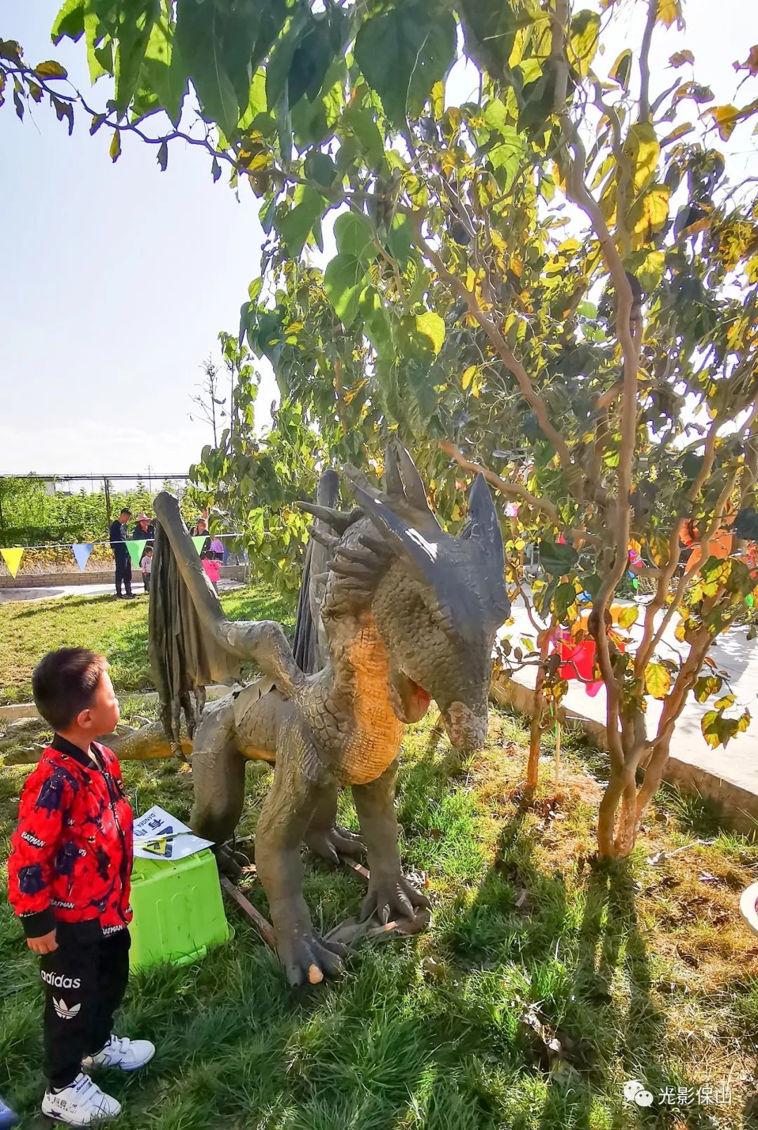 周末时光20190176期保山云桑庄园紫藤花文化节侧记