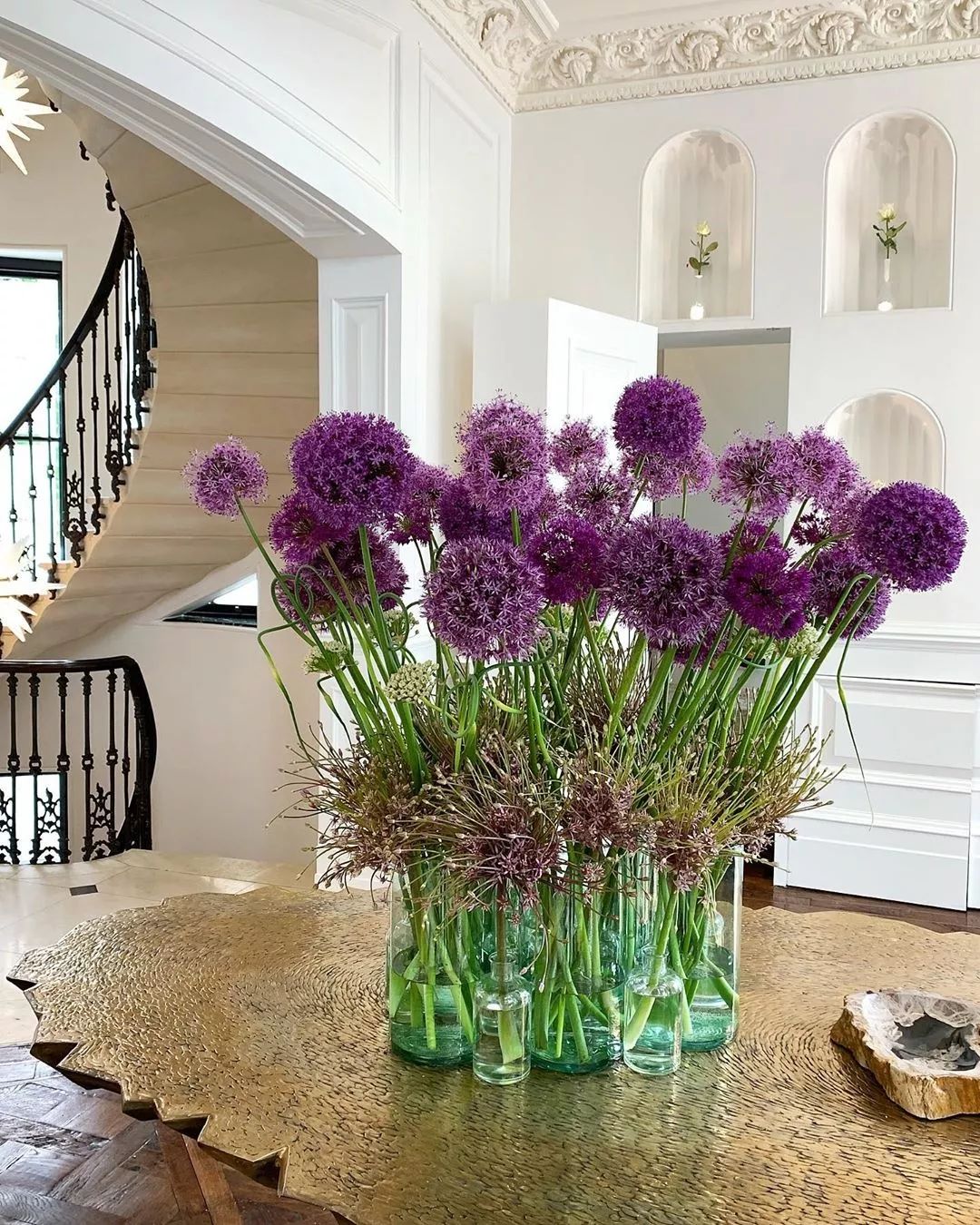 葱界颜值担当大花葱好看却不能吃呀