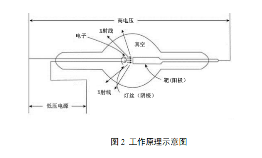 x线管短轴示意图图片