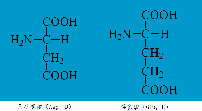 基本氨基酸的一些基本知识:结构,特点与记忆方法(四)