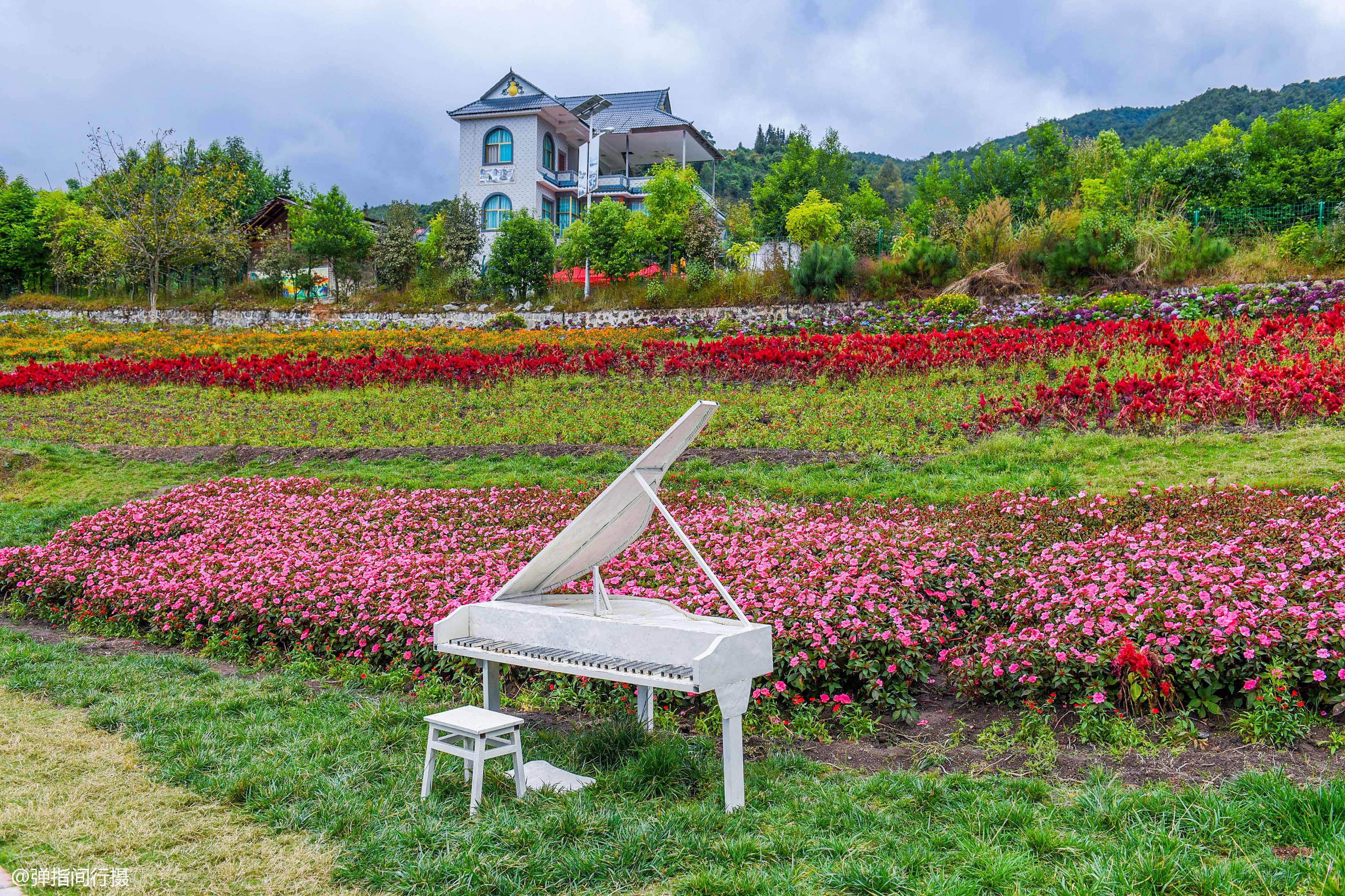 这里坐拥美丽动人的田园风光,姹紫嫣红的万花谷,在万花丛中处处都能