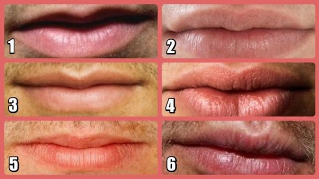 男士唇形分类图解图片