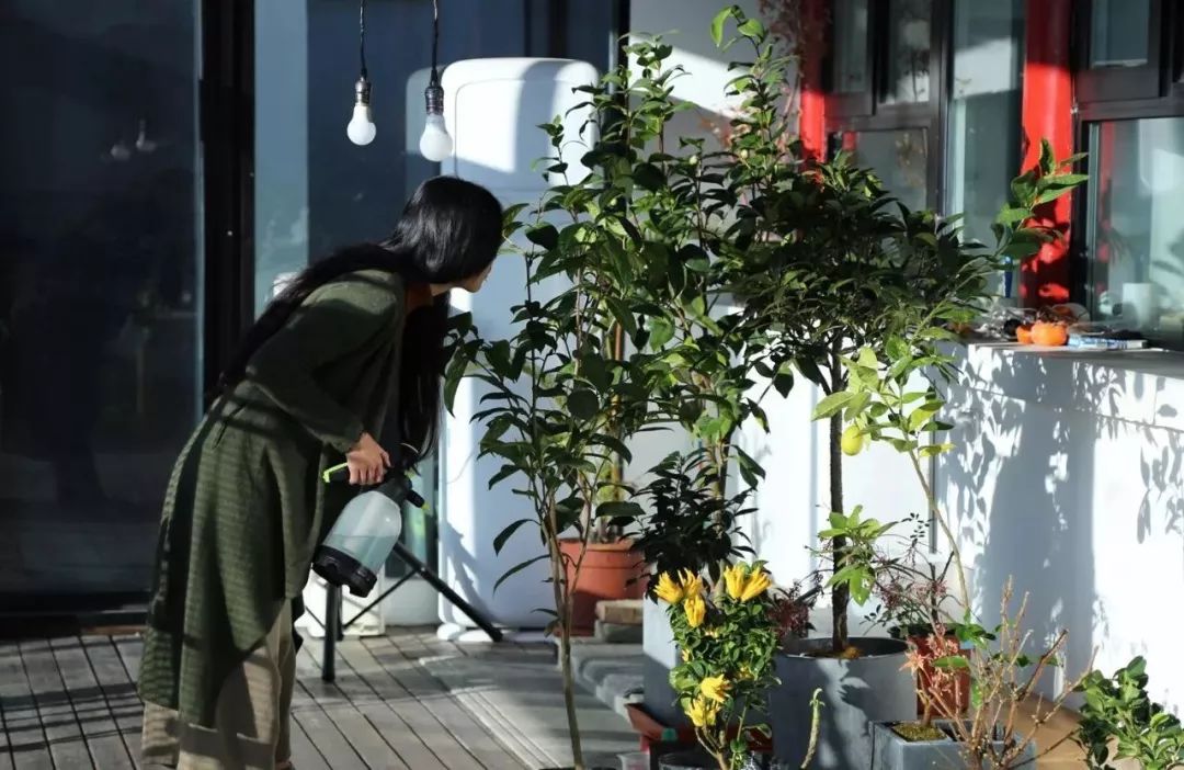 賣掉市區房80後姑娘搬到京郊種花養鳥盤古董愜意人生