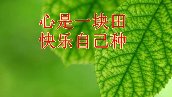 快乐是一颗种子心是一块地自己播种自己收获