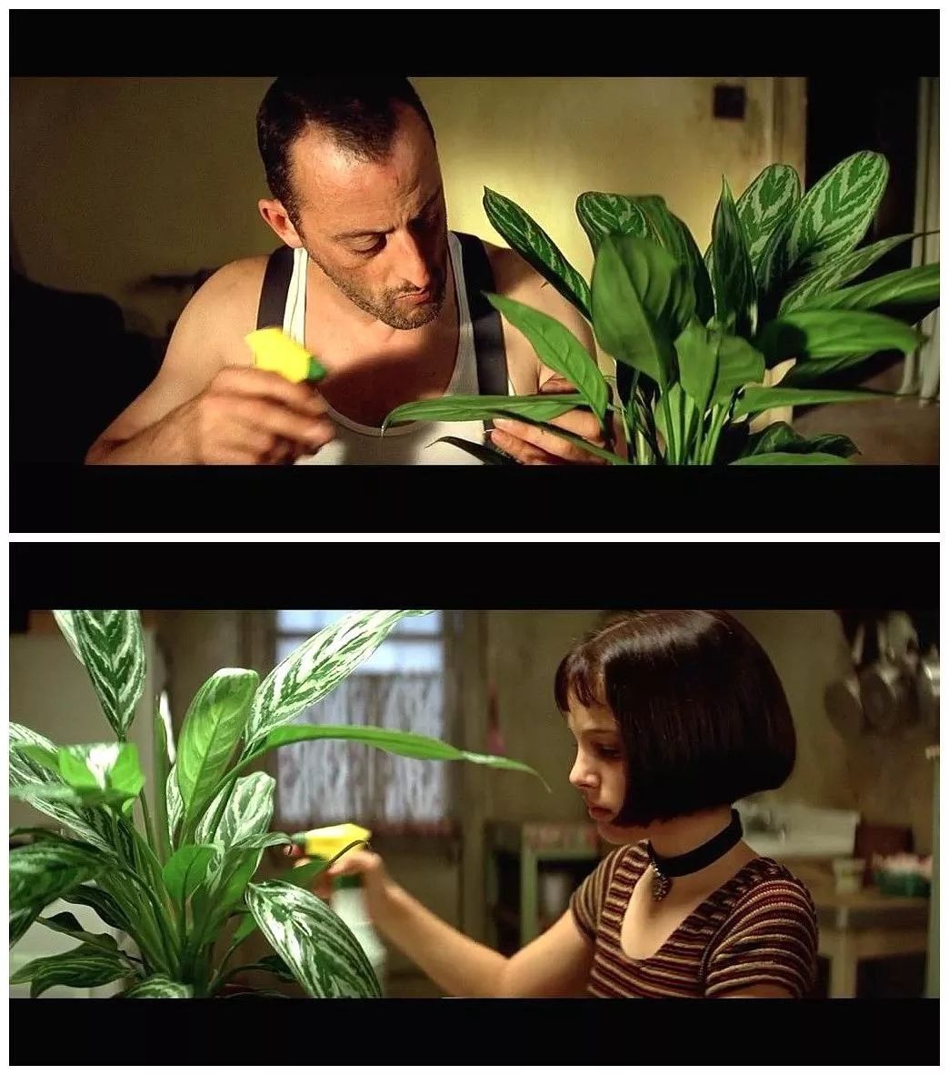 25年了,这部电影你真的看懂了吗?_里昂