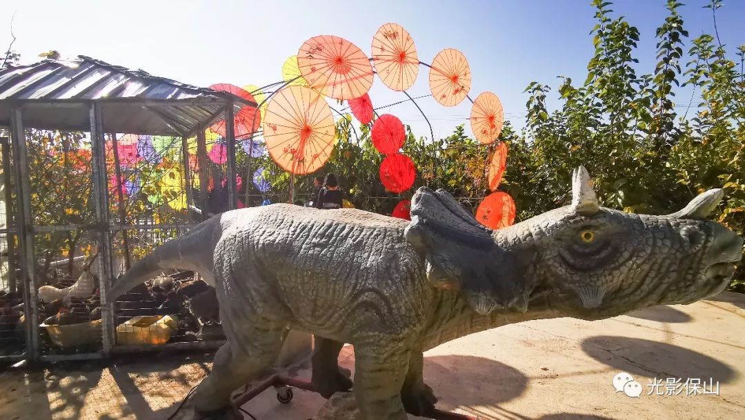 周末时光20190176期保山云桑庄园紫藤花文化节侧记