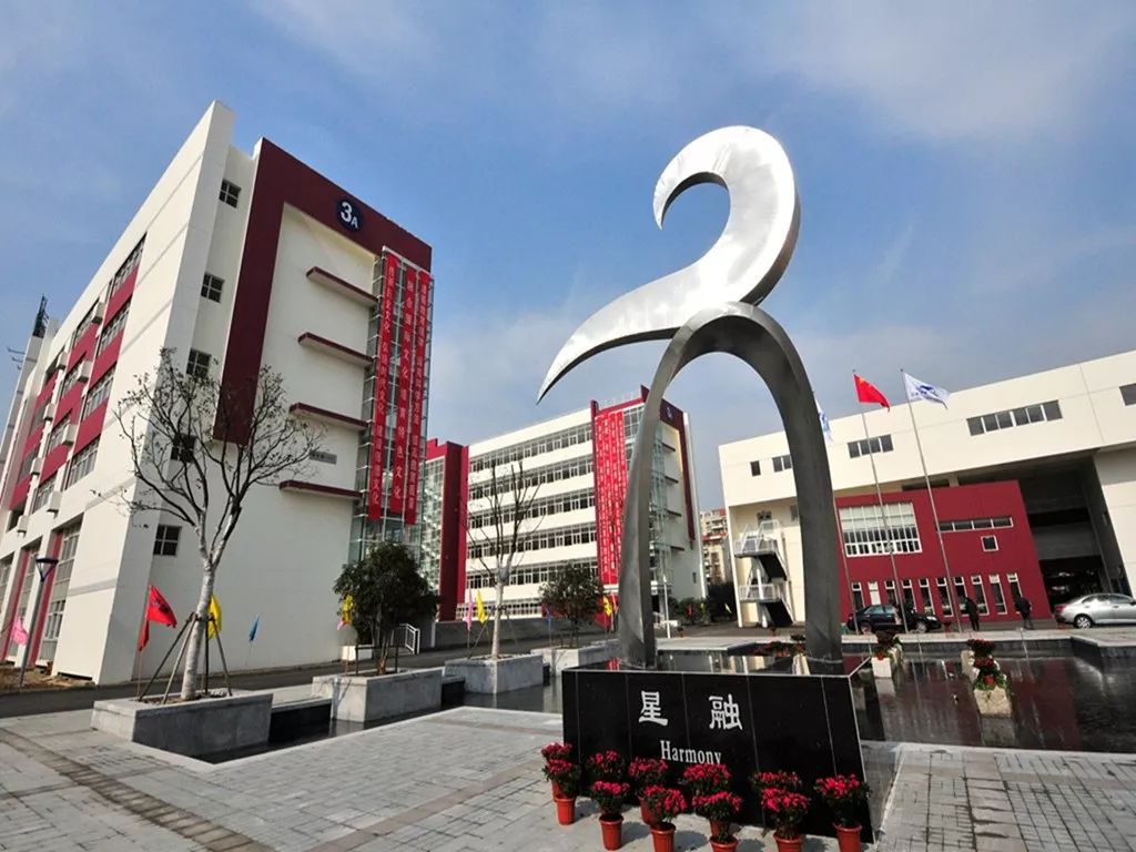 坚守适合初心引领高质量发展江苏省苏州工业园区星海小学十年适合教育