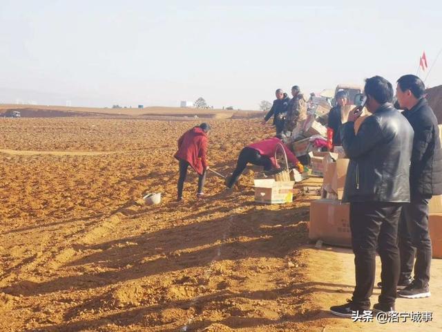 周边村子的村民也纷纷加入了种植牡丹行列,实现了足不出户有钱挣,为