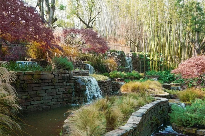 麓湖红石公园/易兰规划设计院●韵律植物的韵律有一种植物形成的