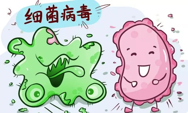 為什麼成年人得補點成人益生菌這三類人群可不能錯過