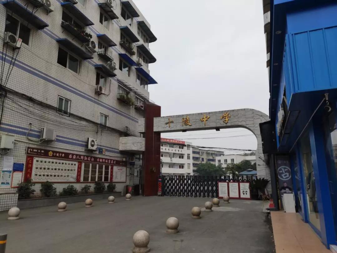 片区内的培养了一代又一代学子的公立学校——十陵小学,十陵中学是