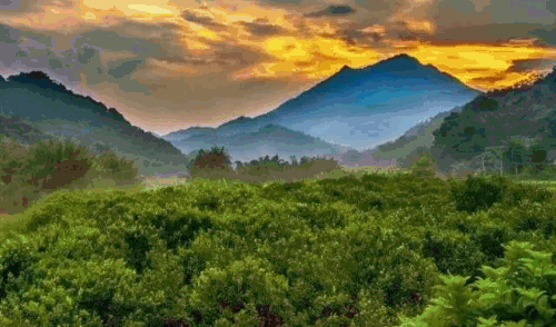 梯级,穿过密林可赏崇山峻岭的自然壮观可观高楼林立的都市繁华